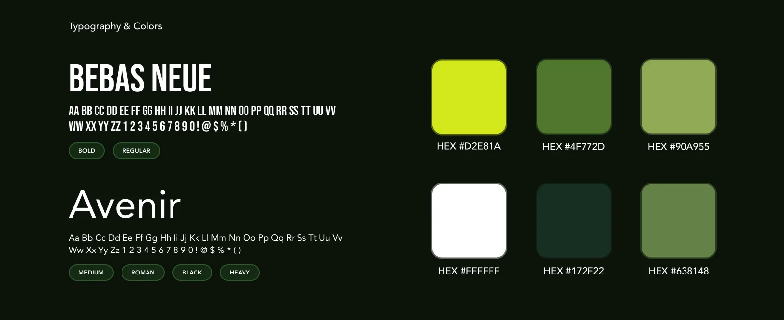 Cashimo – Full-Scale Branding, Characters & Digital Production — section 6
